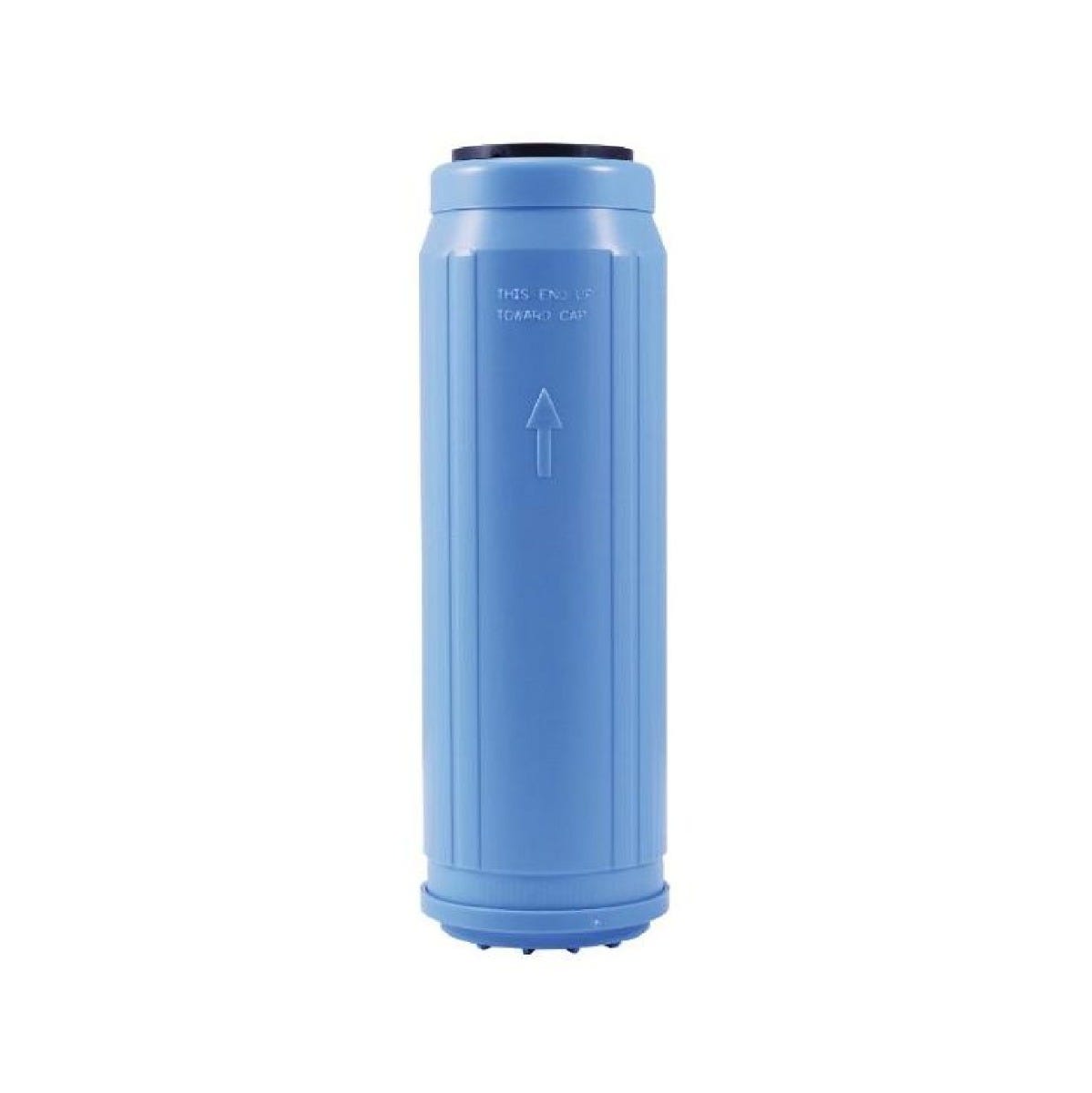 CARTUCHO GAC IMPREGNADO DE PLATA 10" X 2.5" Marca WATTS. Modelo: 601561