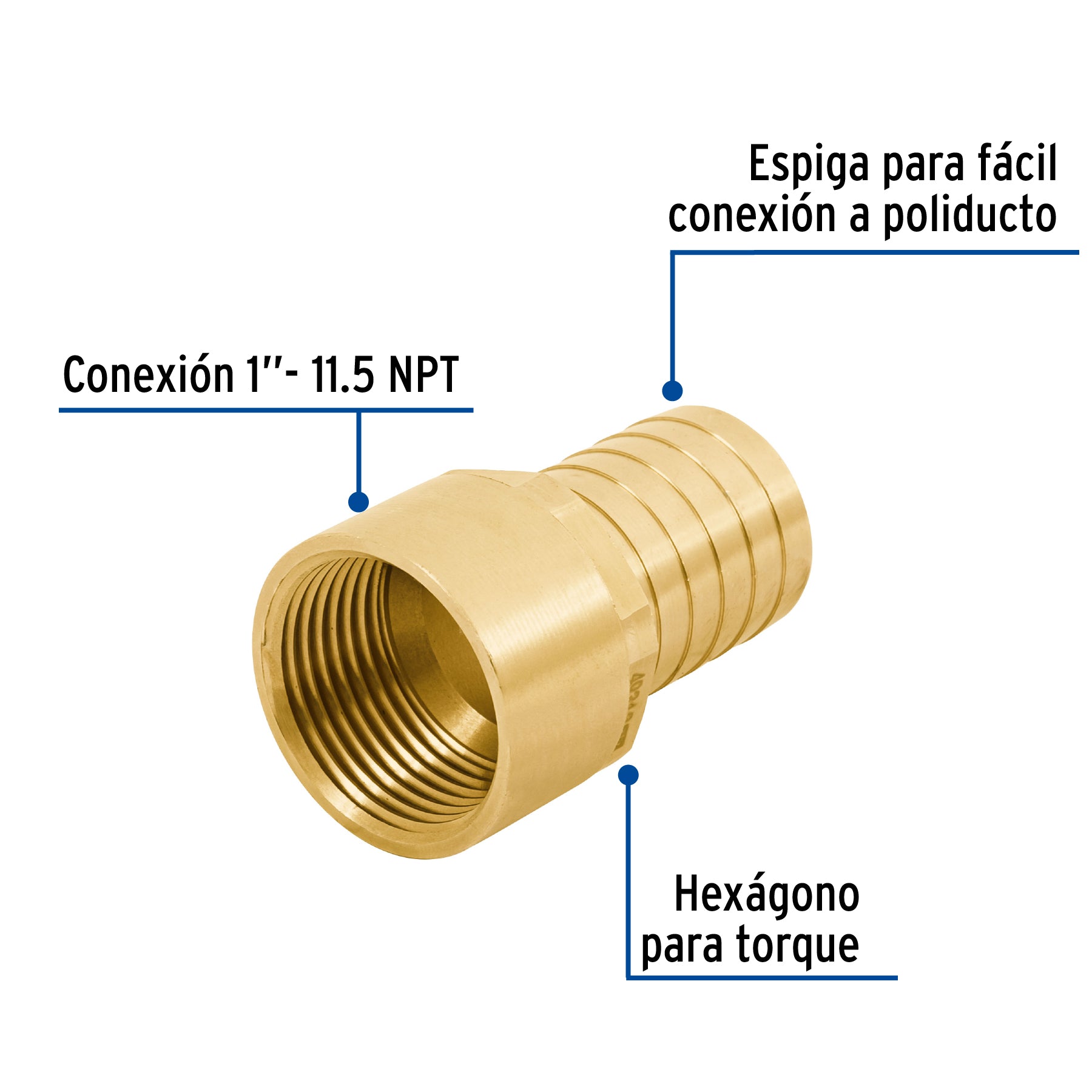 Adaptador hembra de latón 1' para manguera, FOSET. Modelo: ADPO-1H