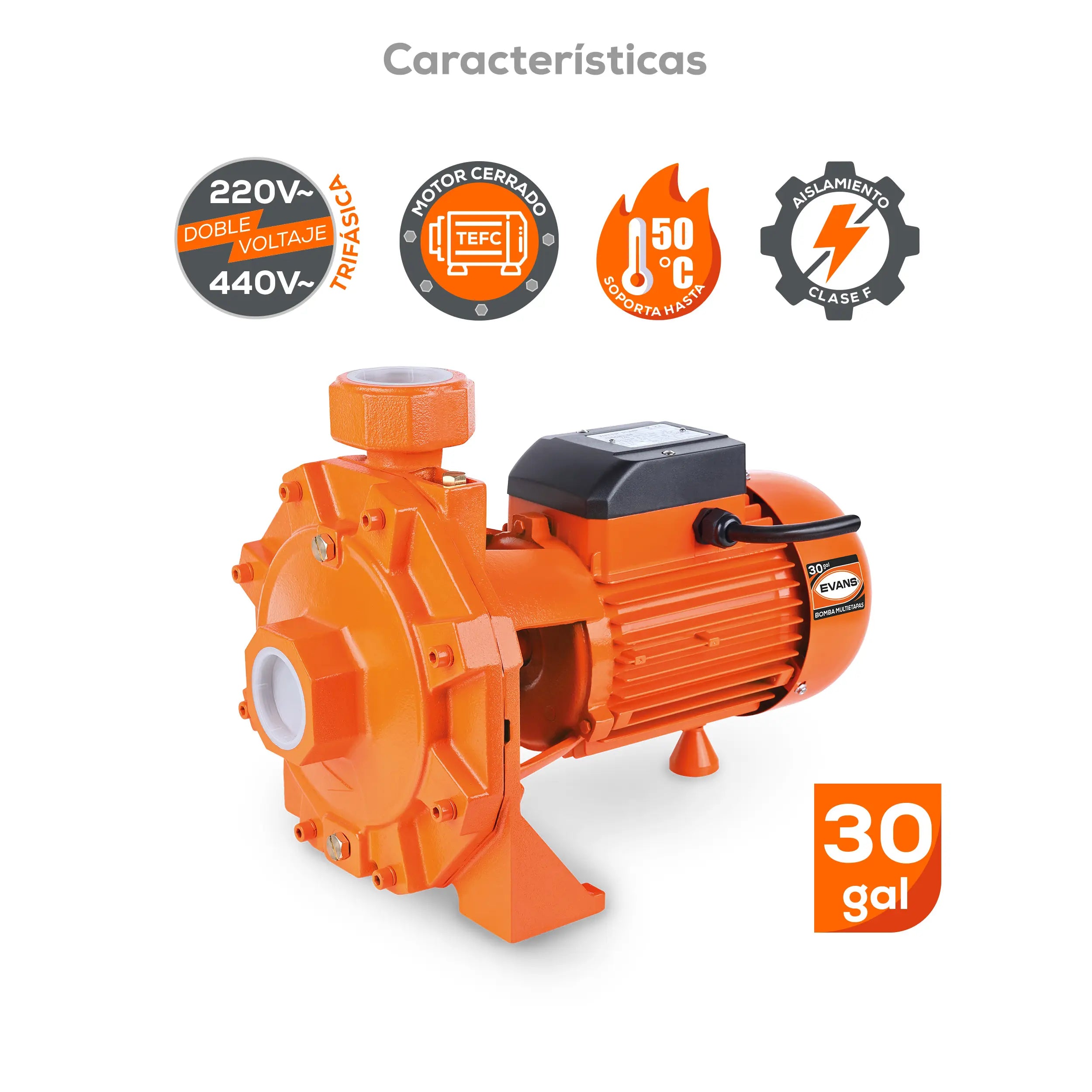 Bomba multietapas 3 HP 235 LPM 220/440 V trifásico Marca EVANS. Modelo: BME30ME0300