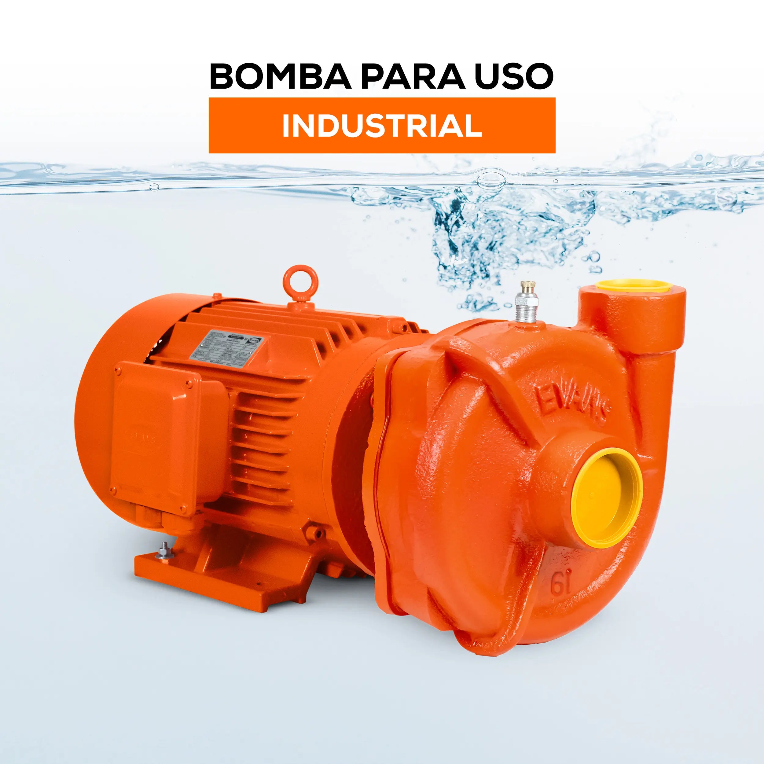 Bomba centrífuga 3 HP 990 LPM 220/440 V trifásico Marca EVANS. Modelo: 6IME0300