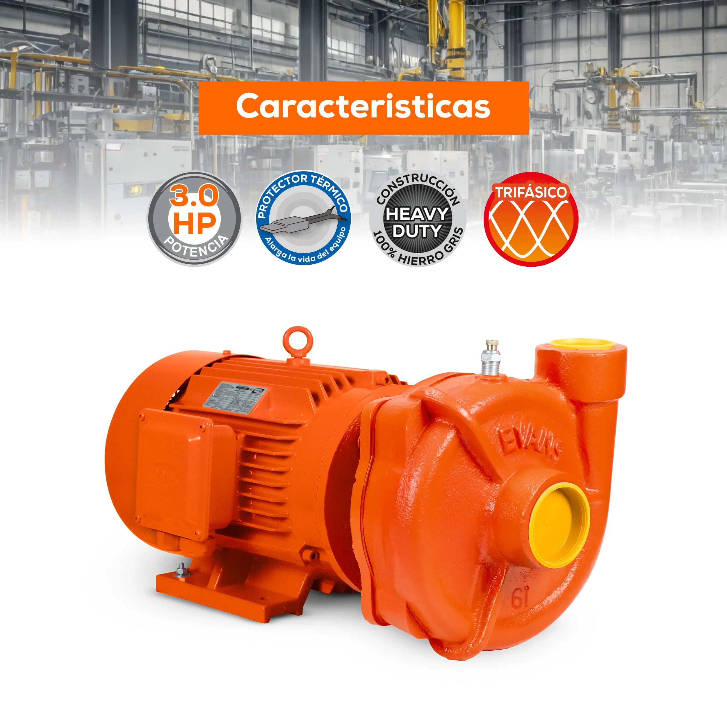 Bomba centrífuga 3 HP 990 LPM 220/440 V trifásico Marca EVANS. Modelo: 6IME0300