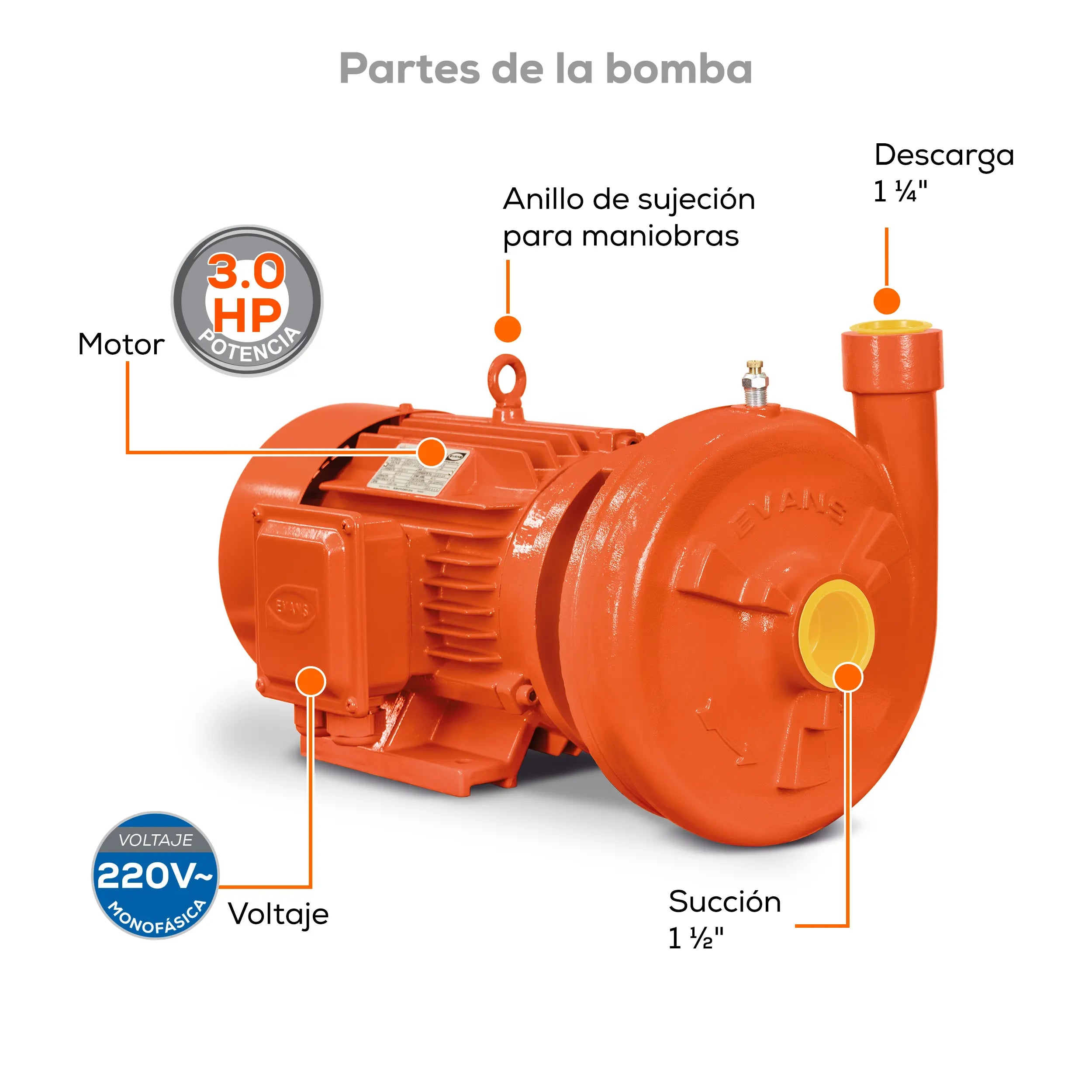 Bomba centrífuga 3 HP 411 LPM 220/440 V trifásico Marca EVANS. Modelo: MT1AME0300