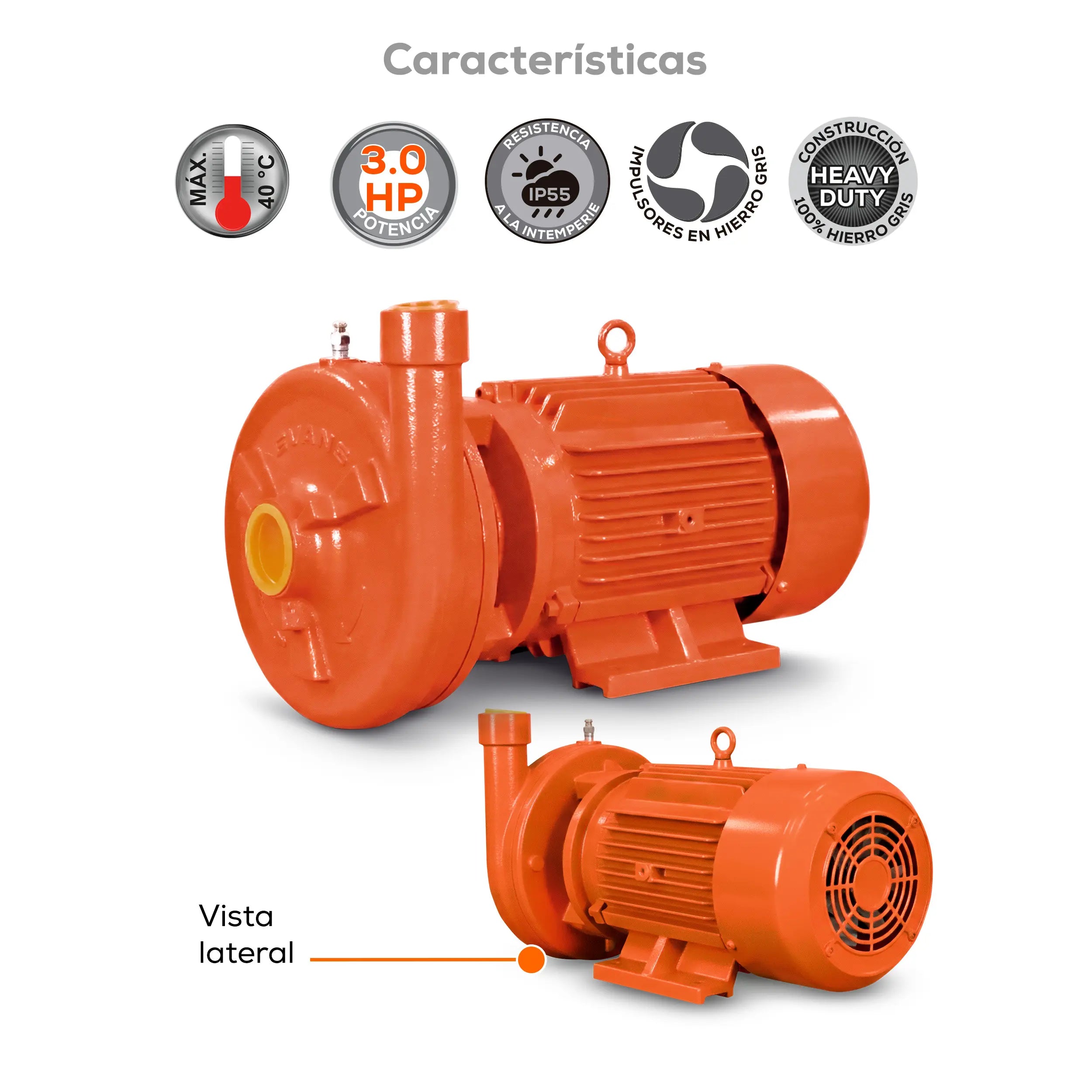 Bomba centrífuga 3 HP 411 LPM 220/440 V trifásico Marca EVANS. Modelo: MT1AME0300