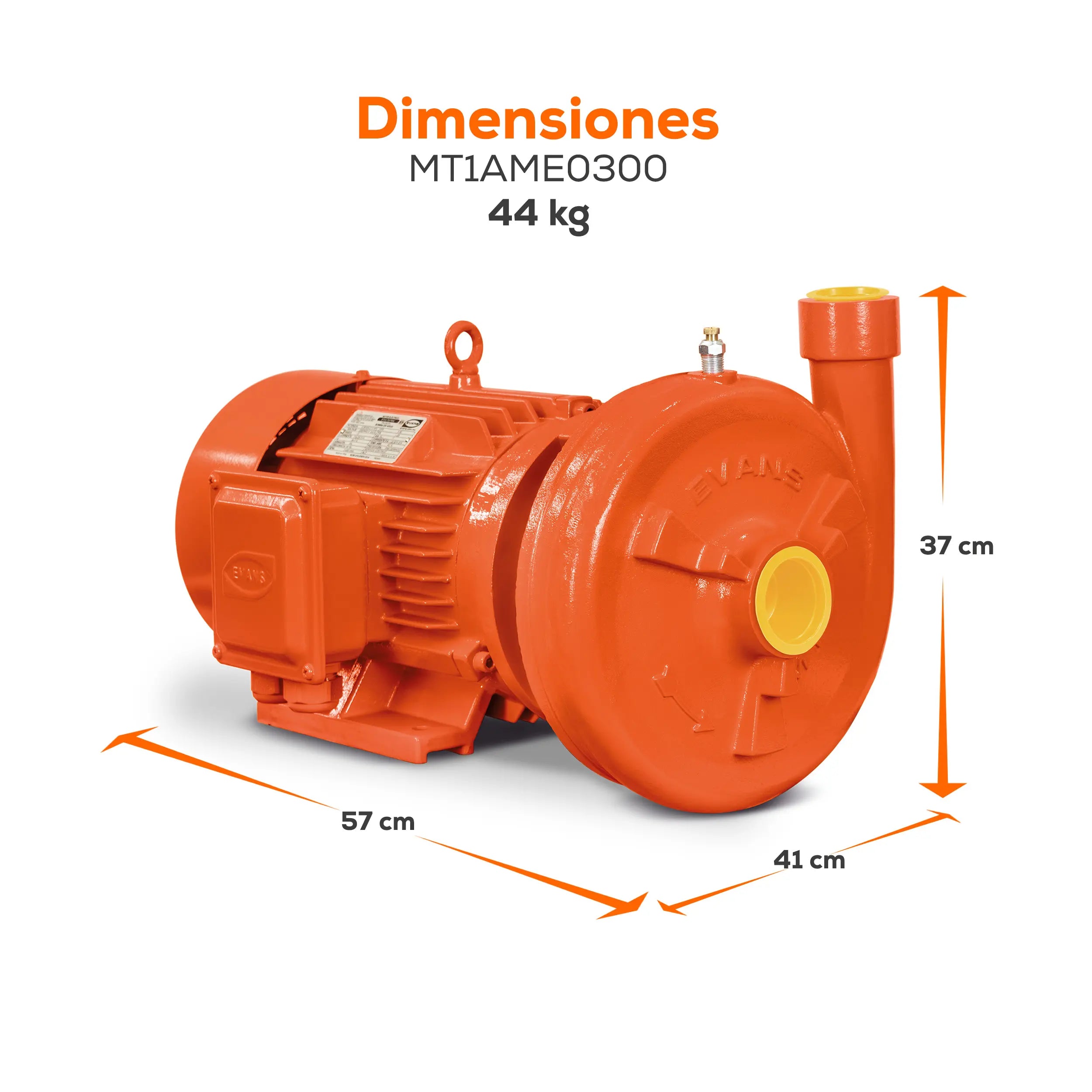 Bomba centrífuga 3 HP 411 LPM 220/440 V trifásico Marca EVANS. Modelo: MT1AME0300