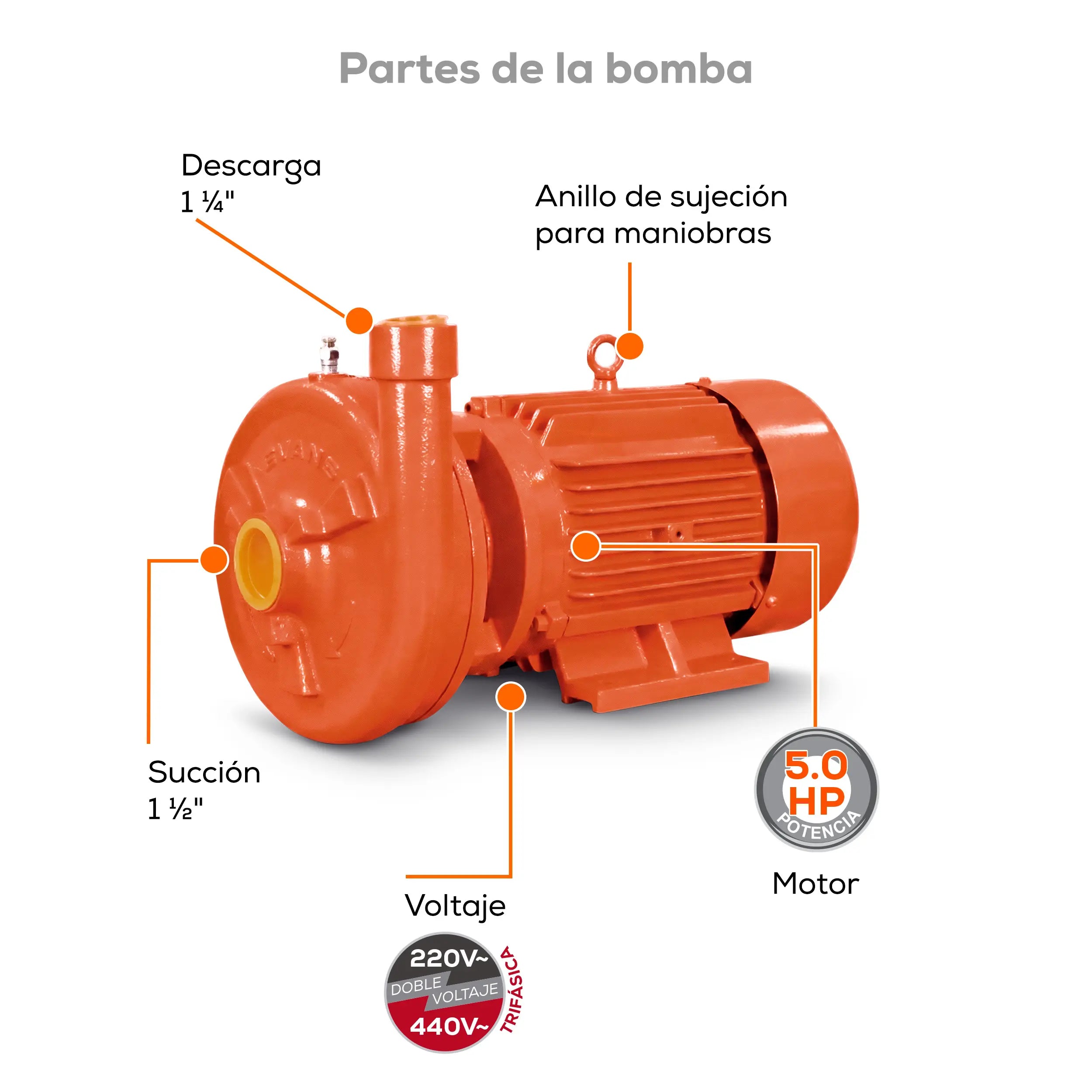Bomba centrífuga 5 HP 511 LPM 220/440 V trifásico Marca EVANS. Modelo: MT1AME0500