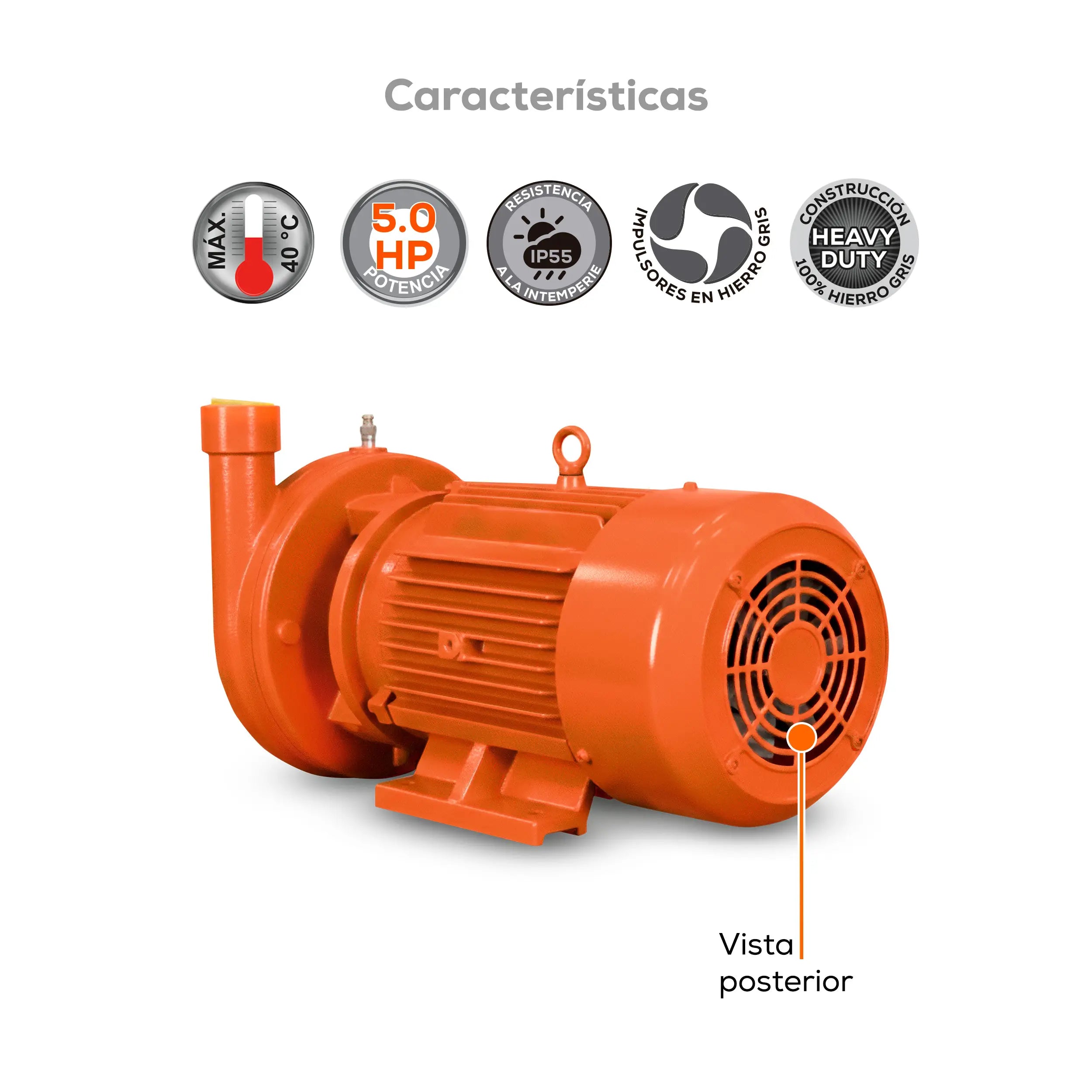 Bomba centrífuga 5 HP 511 LPM 220/440 V trifásico Marca EVANS. Modelo: MT1AME0500