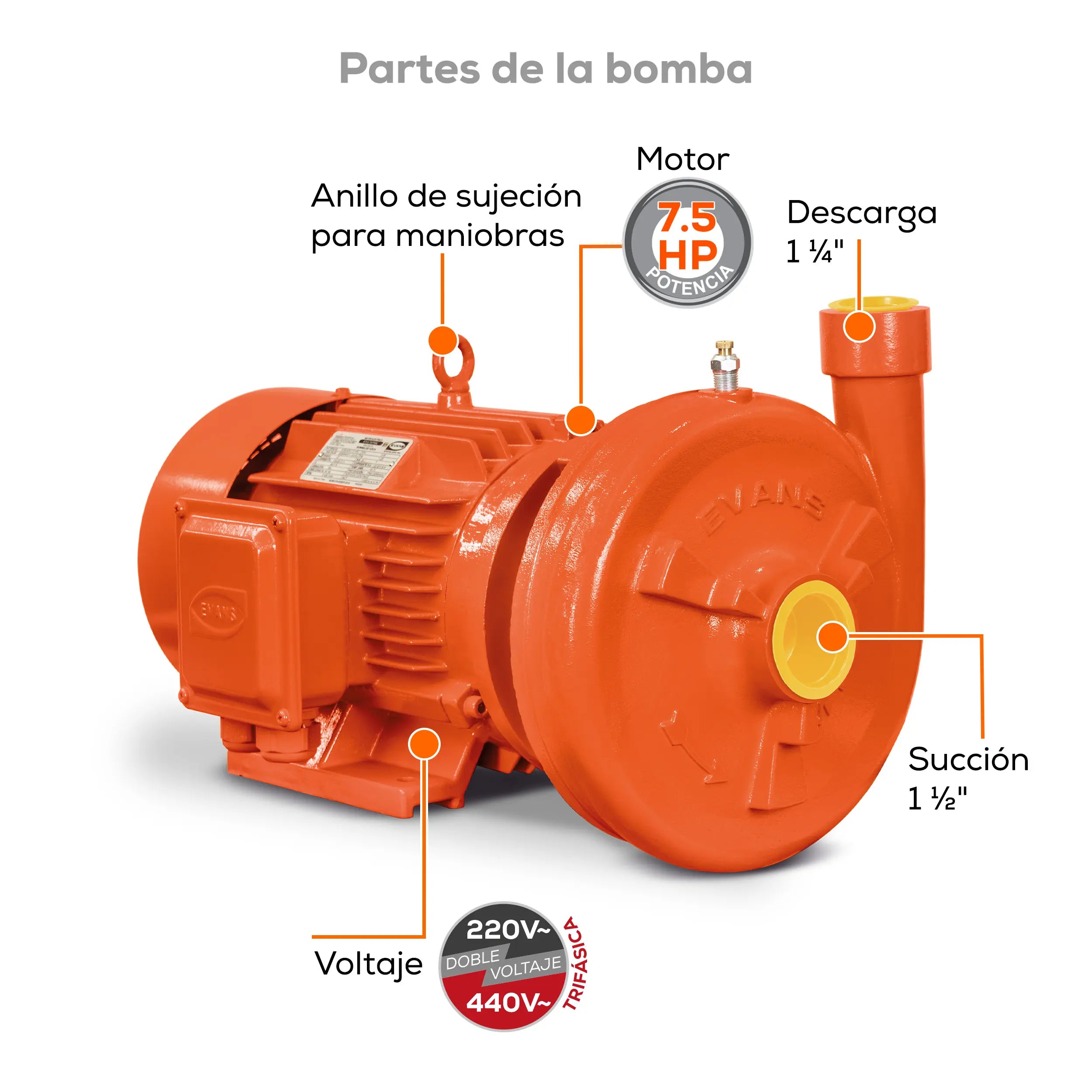Bomba centrífuga 7.5 HP 511 LPM 220/440 V trifásico Marca EVANS. Modelo: MT1AME0750