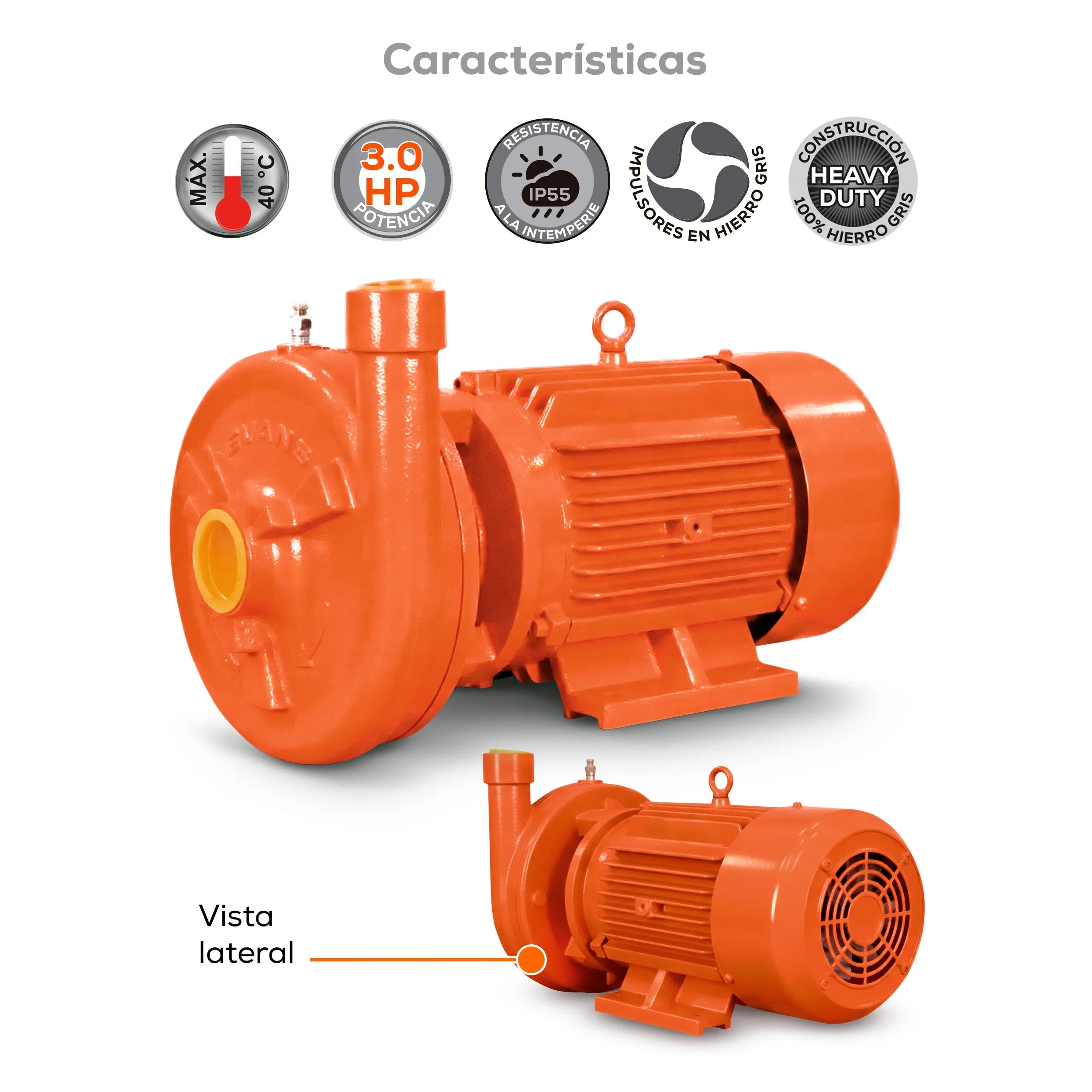 Bomba centrífuga 3 HP 411 LPM 220 V monofásico Marca EVANS. Modelo: MT1AME300