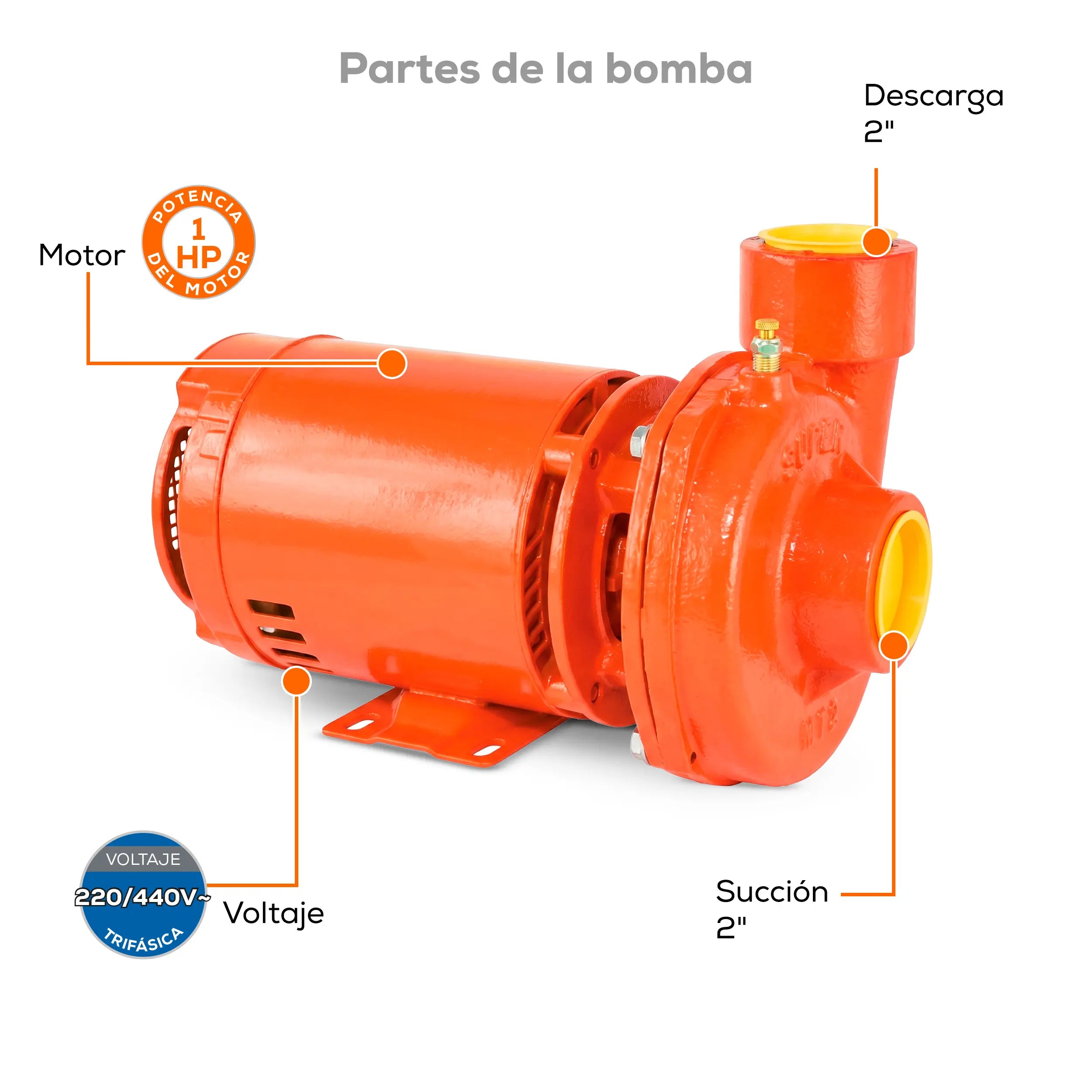 Bomba centrífuga 1 HP 450 LPM 220 V trifásico Marca EVANS. Modelo: MT2ME0100A