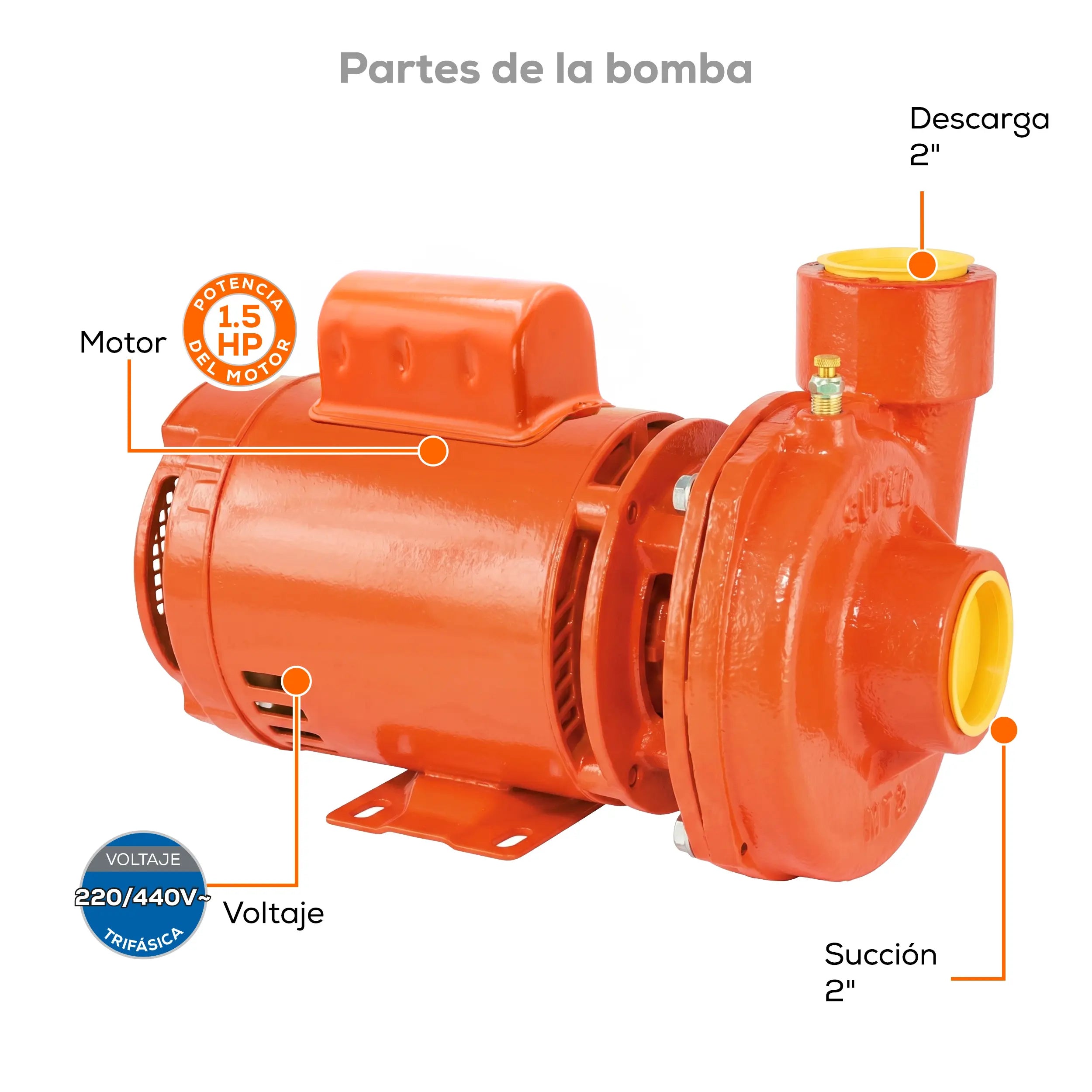 Bomba centrífuga 1.5 HP 510 LPM 220/440 V trifásico Marca EVANS. Modelo: MT2ME0150A