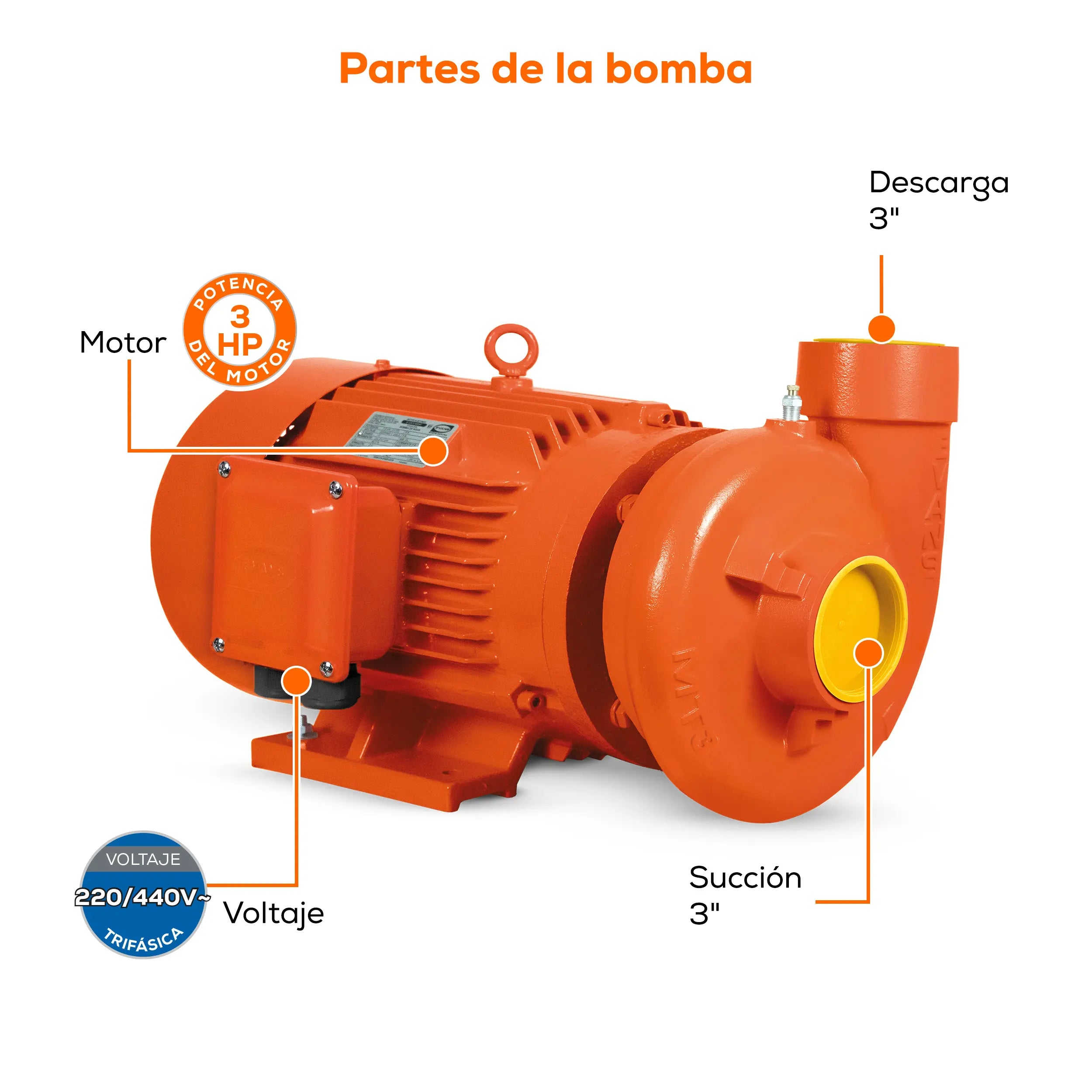 Bomba centrífuga 3 HP 1440 LPM 220/440 V trifásico Marca EVANS. Modelo: MT3ME03004