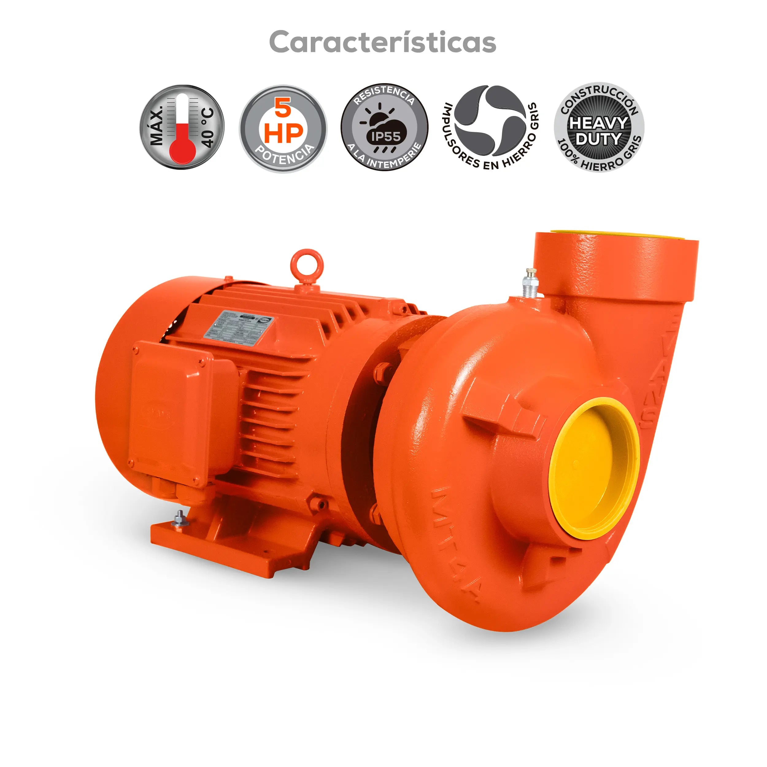 Bomba centrífuga 5 HP 2115 LPM 220/440 V trifásico Marca EVANS. Modelo: MT4AME05004