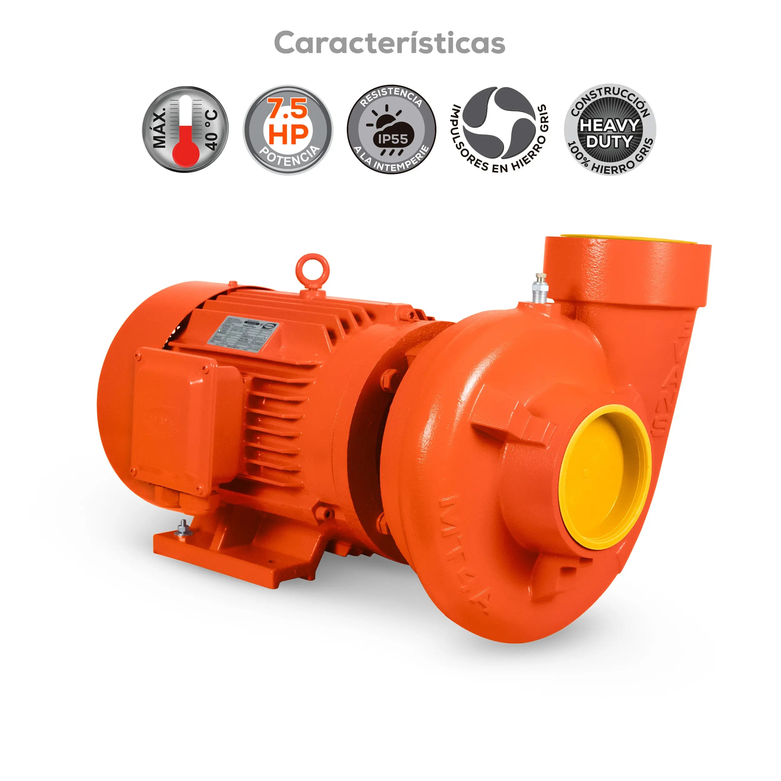 Bomba centrífuga 7.5 HP 2158 LPM 220/440 V trifásico Marca EVANS. Modelo: MT4AME0750