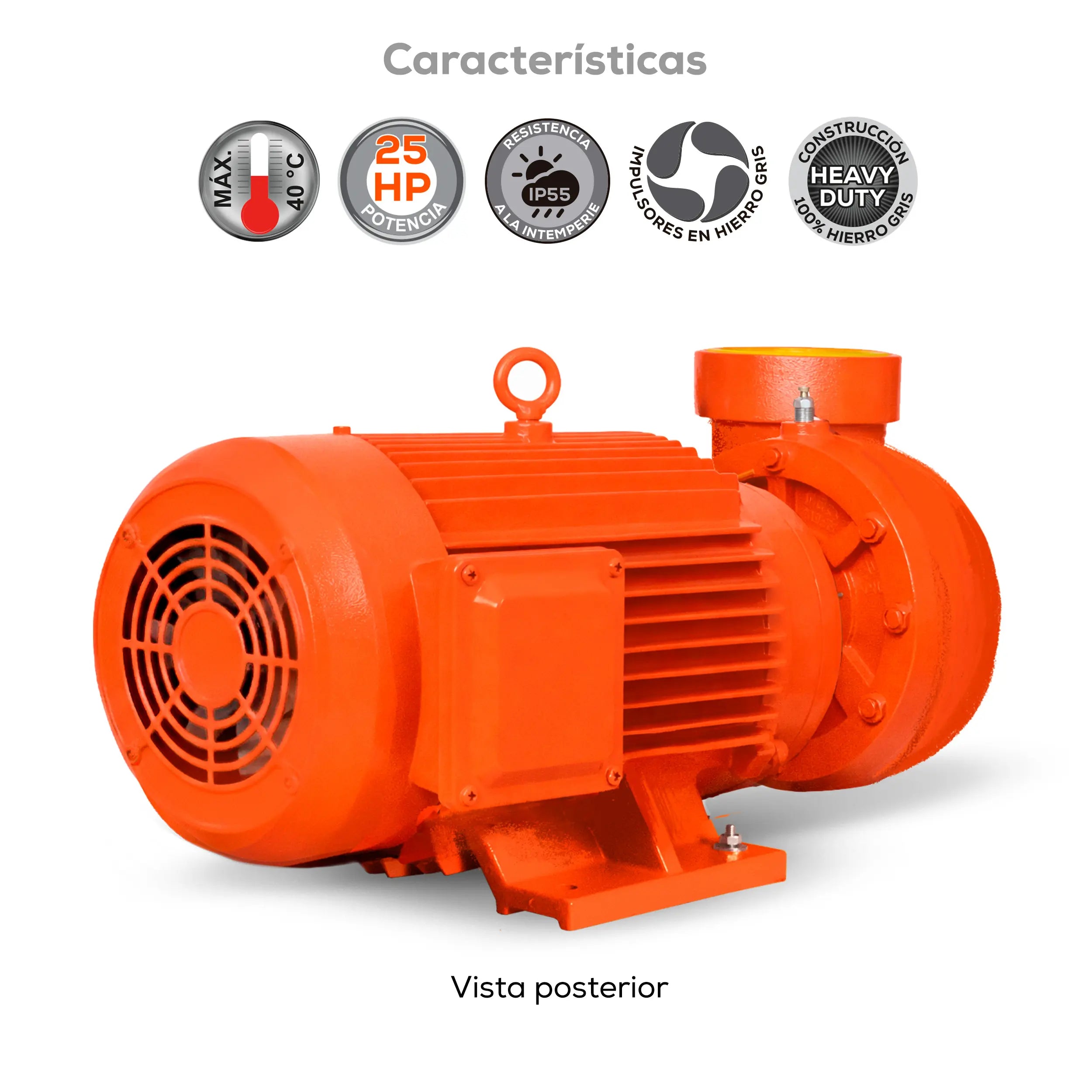 Bomba centrífuga 25 HP 3000 LPM 220/440 V trifásico Marca EVANS. Modelo: MT4AME2500