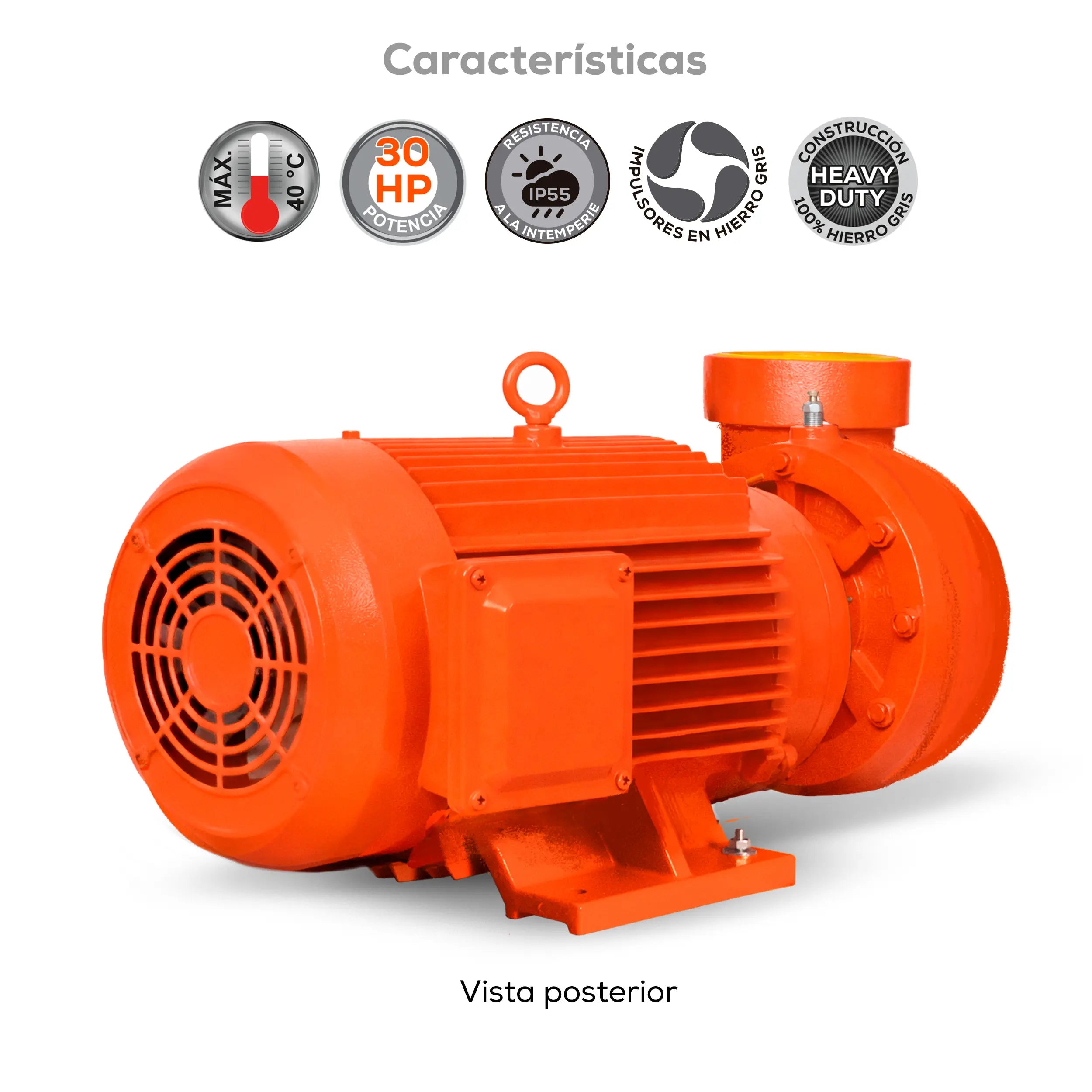 Bomba centrífuga 30 HP 3000 LPM 220/440 V trifásico Marca EVANS. Modelo: MT4AME3000