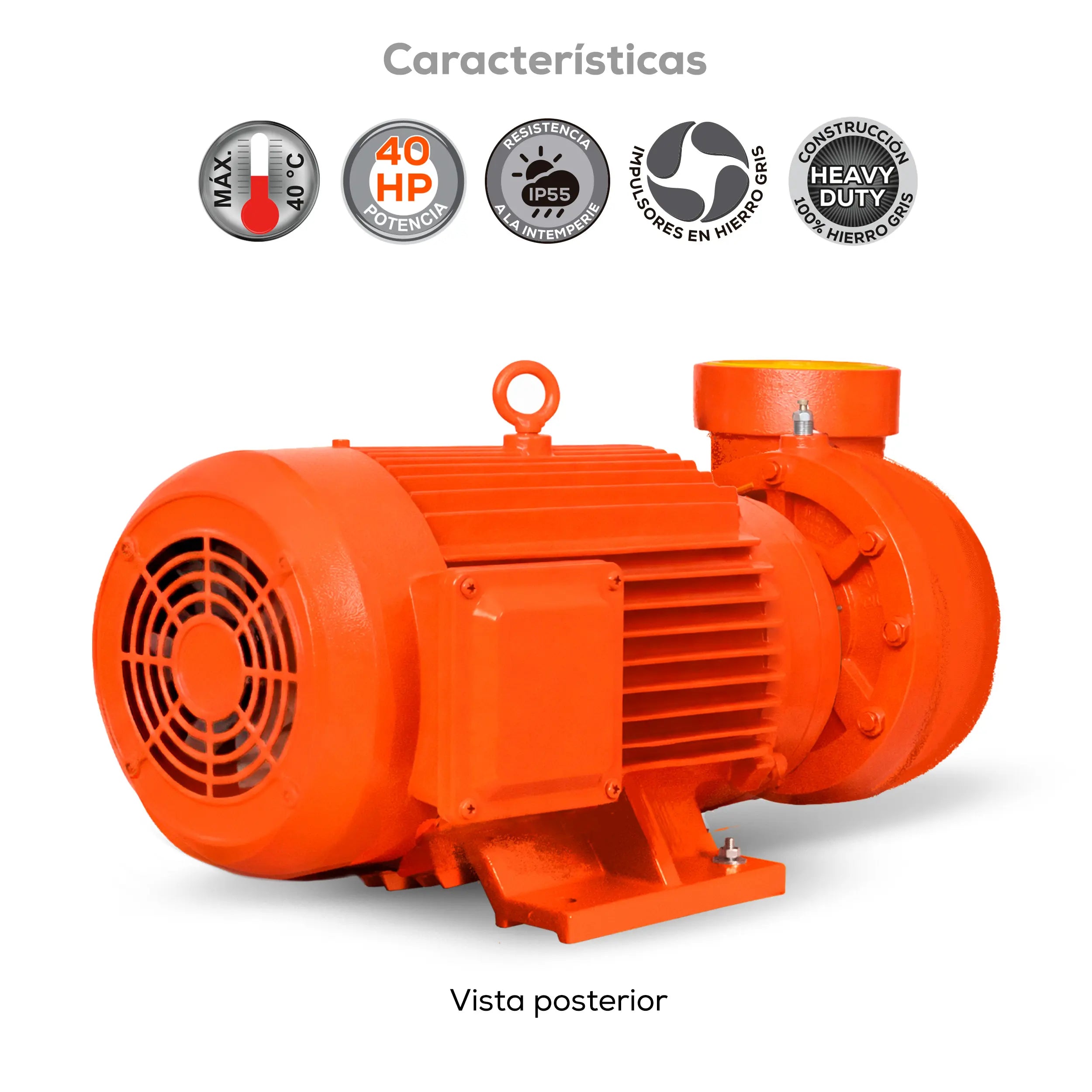 Bomba centrífuga 40 HP 3060 LPM 220/440 V trifásico Marca EVANS. Modelo: MT4AME4000