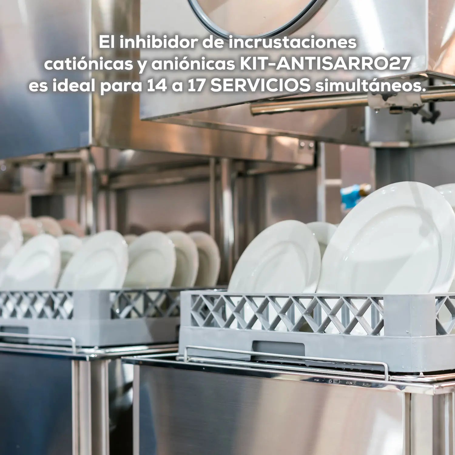 Inhibidor de incrustaciones 102 LPM Marca EVANS. Modelo: KIT-ANTISARRO27