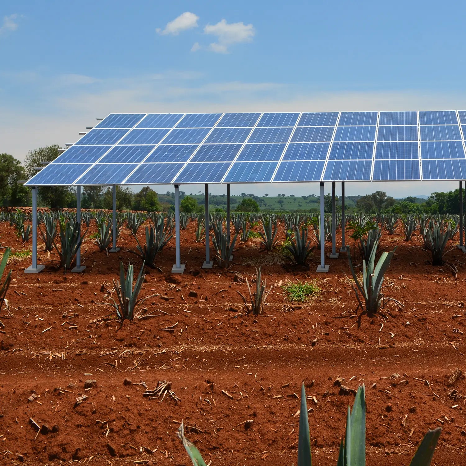 Estructura 20 paneles solares Marca EVANS. Modelo: ASB20MFVG-2X10