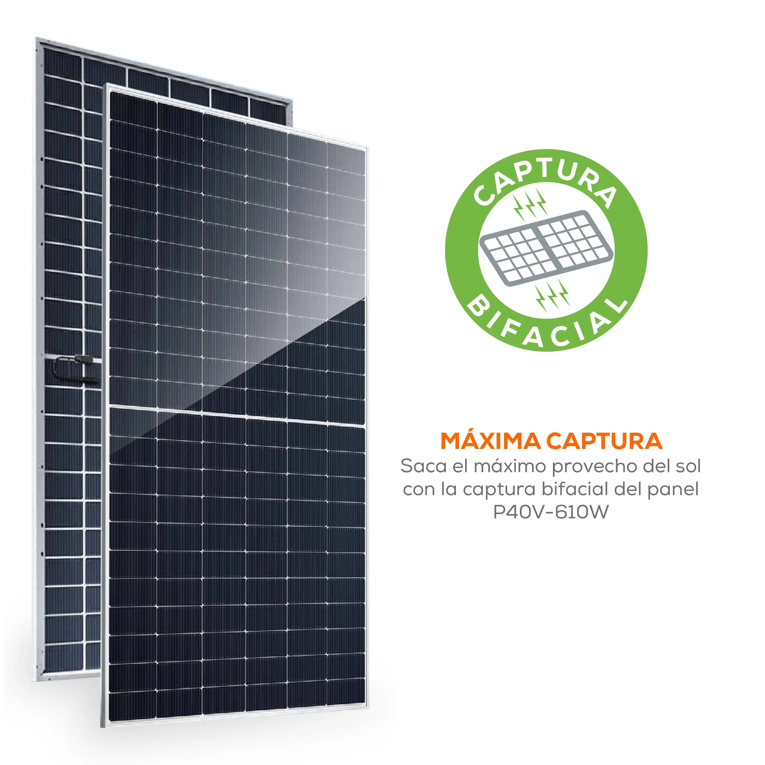 Panel Solar 610 W Marca EVANS. Modelo: P40V-610W